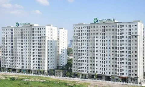 Bát nháo tình trạng mua bán nhà ở xã hội, Hà Nội vào cuộc kiểm tra