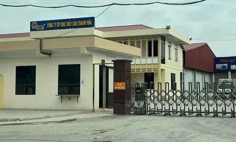 Công ty CP XNK Thủy Sản Thanh Hóa bị xử phạt 100 triệu đồng