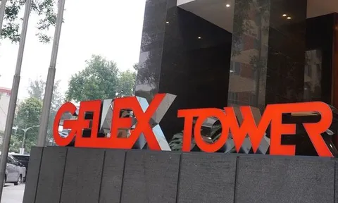 GELEX nói gì về các tin đồn trong thời gian qua?