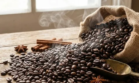 Giá cà phê hôm nay 26/2: Bật tăng mạnh, Robusta vượt 3.660 USD/tấn