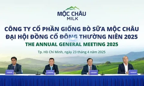 Công ty Cổ phần Giống Bò sữa Mộc Châu (MCM) tồn đọng hơn 633 tỷ đồng vốn huy động sau 5 năm, lợi nhuận 2025 chỉ đạt 72,8% kế hoạch