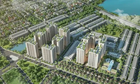Bình Định: Duyệt phương án đấu giá đất xây dự án nhà ở hơn 3.000 tỷ đồng