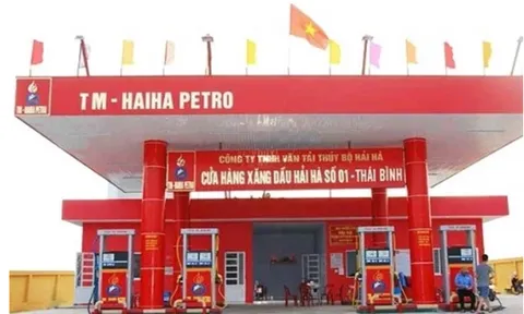 Hải Hà Petro chưa trả 612 tỷ đồng nợ Quỹ bình ổn xăng dầu