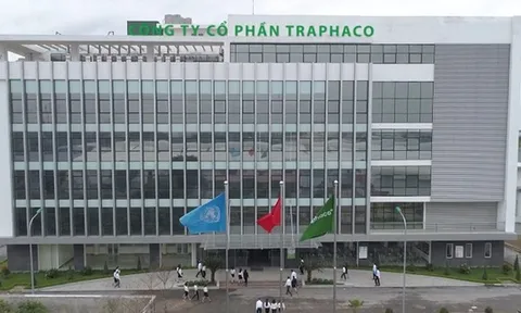 Công ty Cổ phần Traphaco (TRA) bị truy thu gần 3,3 tỷ đồng tiền thuế, lợi nhuận quý IV giảm 11% dù 9 tháng tăng trưởng 2 chữ số