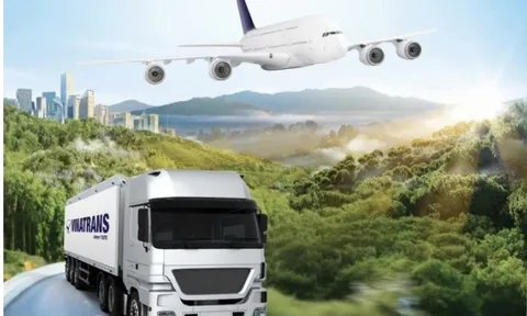 Vinatrans: Doanh thu và lợi nhuận đồng loạt giảm sút