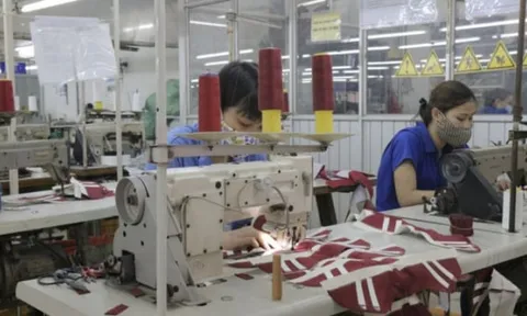 Giày Thượng Đình chuẩn bị “thay máu” HĐQT sau loạt biến động cổ đông