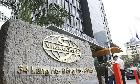 Doanh nghiệp 3 tháng tuổi trở thành công ty mẹ của Vinaconex