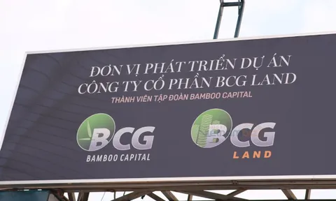 Bamboo Capital muốn bán bớt vốn tại một công ty sản xuất gỗ