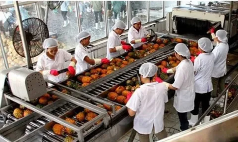 Công ty CP Chiếu xạ An Phú bị phạt 118 triệu đồng do vi phạm thuế
