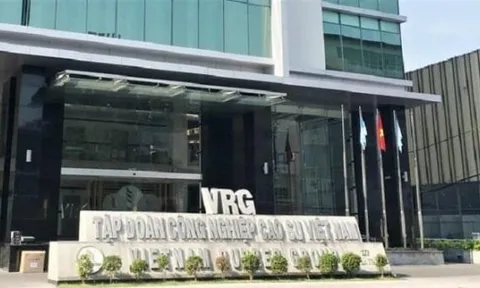 Tập đoàn Cao su Việt Nam để xảy ra thua lỗ, tiềm ẩn rủi ro mất vốn nhà nước