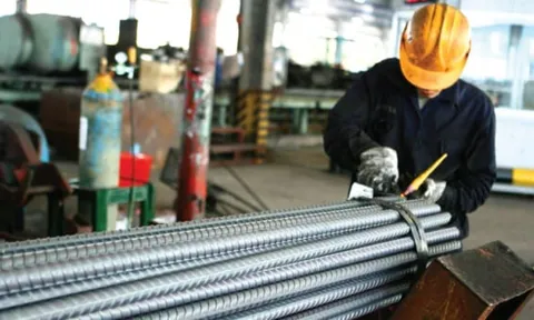 Thép Việt thoái vốn bất thành tại Thép Pomina