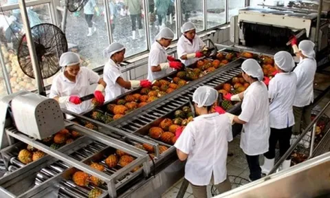 Công ty cổ phần Chiếu xạ An Phú truy thu 709 triệu đồng tiền thuế