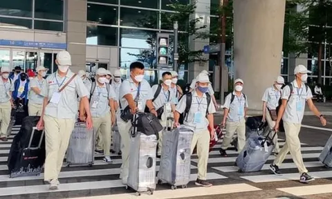 Tạm dừng đưa lao động Việt Nam sang Trung Đông