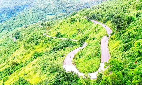 Tập đoàn Crystal Bay nghiên cứu quy hoạch nhiều dự án ở Khánh Hoà