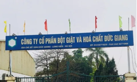 Hoá chất Đức Giang: Doanh thu và lợi nhuận suy giảm, tổng nợ phình to