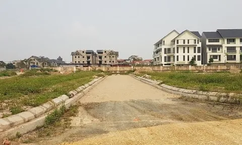Đầu năm 2022, lượng giao dịch căn hộ chung cư, nhà ở riêng lẻ, đất nền tiếp tục tăng