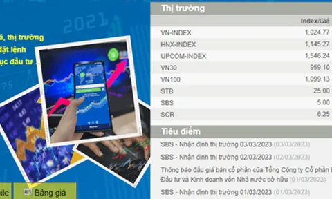Chứng khoán SBS: Lỗ hơn 70 tỷ, kỳ vọng hồi phục trong năm 2023