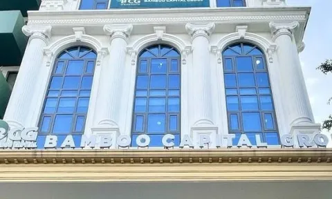 Tập đoàn Bamboo Capital muốn bán bớt cổ phần công ty con, huỷ rót vốn vào Bảo hiểm AAA