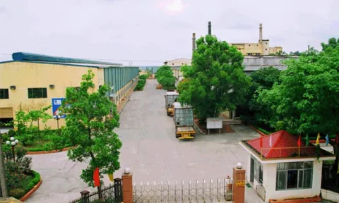 Kính Đáp Cầu: Nợ quá hạn hàng chục tỷ, lỗ luỹ kế hơn 320 tỷ đồng