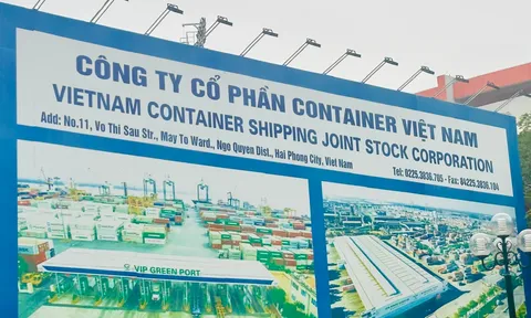 Chỉnh lại số liệu, Viconship bị giảm lợi nhuận hơn 127 tỷ đồng