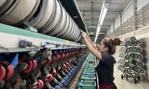 Tơ tằm Á Châu bị xử phạt 92,5 triệu đồng