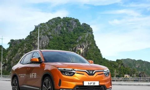 Ông Phạm Nhật Vượng thành lập công ty cho thuê taxi điện vốn 3.000 tỷ đồng