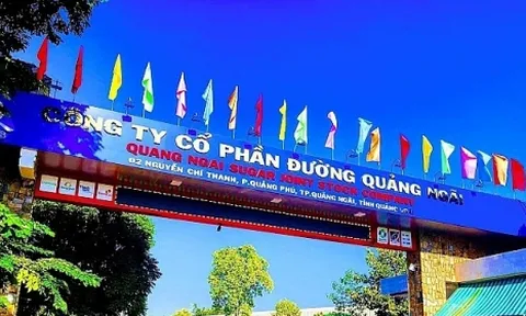 Thanh tra thuế Công ty Cổ phần Đường Quảng Ngãi