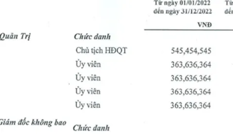 Kinh doanh lãi đậm, thu nhập các “sếp lớn” ngành dược khủng cỡ nào?
