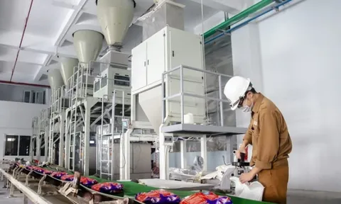 Phốt pho Apatit Việt Nam muốn chia cổ tức tiền mặt với tỷ lệ 100%