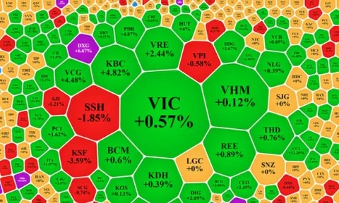 Cổ phiếu đảo chiều, VN-Index tăng hơn 11 điểm