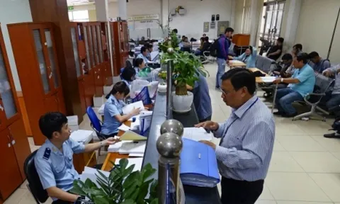 Nợ 12 tỷ tiền thuế, Công ty Thành Tài bị cưỡng chế dừng thủ tục hải quan