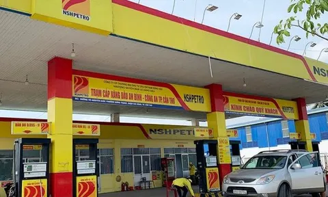 Đại gia xăng dầu miền Tây tăng lỗ sau soát xét, lên mức 236 tỷ đồng