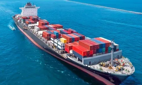 Một doanh nghiệp vận tải biển bị nghi ngờ khả năng hoạt động liên tục