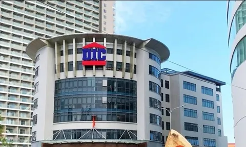 DIC Corp (DIG): Cổ phiếu mất 45% giá trị từ đỉnh, gần 12 triệu cổ phiếu gia đình Chủ tịch bị bán giải chấp