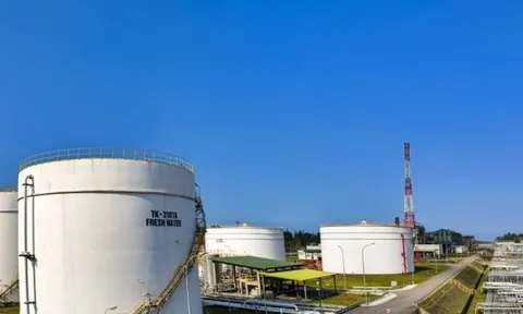 Lọc hoá dầu Bình Sơn tăng lãi sau soát xét, ngân hàng kiện công ty con