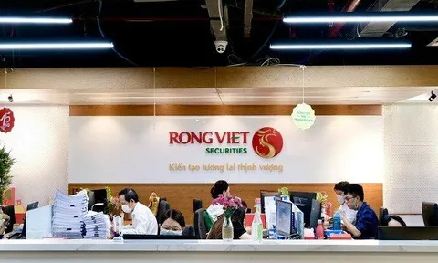 Lỗ kỷ lục, cổ phiếu Chứng khoán Rồng Việt bị đưa vào diện cảnh báo