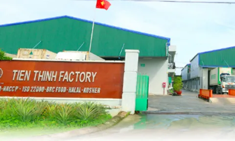 Tập đoàn Tiến Thịnh làm ăn ra sao khi phải phát hành cổ phiếu để trả nợ?