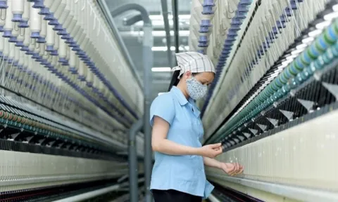 Sợi Thế Kỷ đặt mục tiêu dè dặt, muốn chia cổ tức tỷ lệ 15%