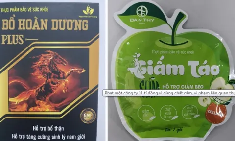 Công ty TNHH sản xuất - Y dược phẩm Vĩnh Điển bị xử phạt hơn 11 tỷ đồng