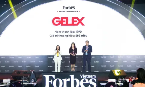 GELEX lọt Top 25 thương hiệu dẫn đầu do Forbes Việt Nam bình chọn