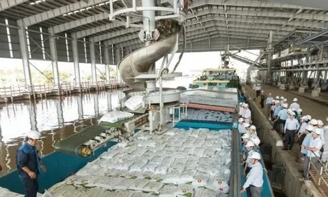 Bộ Tài chính bác đề xuất giảm thuế xuất khẩu với mặt hàng phân bón xuống 0%