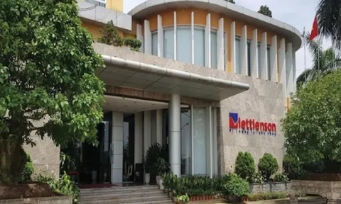 AAV Group: Doanh thu và lợi nhuận giảm mạnh, cổ phiếu rẻ như 'trà đá'