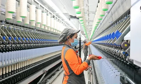 Sợi Thế Kỷ: Lợi nhuận bốc hơi 73% sau kiểm toán, xuống đáy 17 năm
