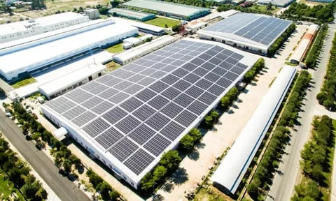 Cú lừa thanh khoản trong đà rơi của cổ phiếu BCG, TCD