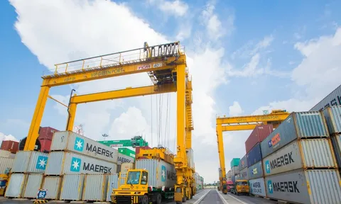 Viconship (VSC) chốt quyền họp ĐHĐCĐ 2026, lợi nhuận năm 2025 tăng hơn 20% nhưng nợ vay vượt 5.300 tỷ đồng