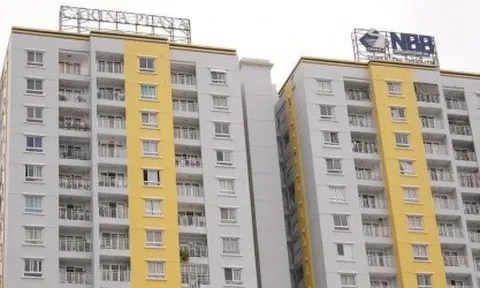 Năm Bảy Bảy chào bán 50,1 triệu cổ phiếu cho cổ đông với giá 15.000 đồng/cổ phiếu