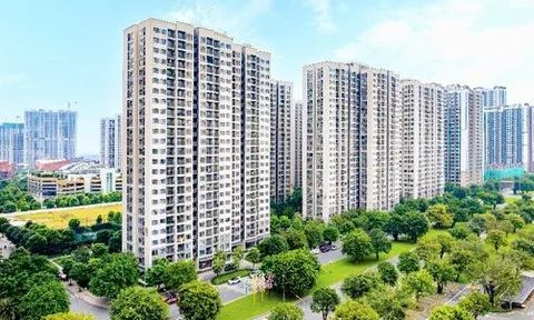 Lý do nào khiến nhà đầu tư đổ xô “săn” BĐS Vinhomes hết dự án này đến dự án khác?