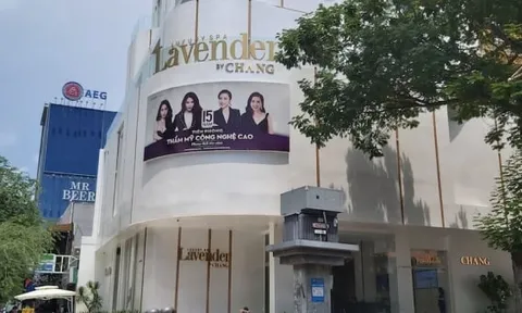 Công ty Lavender Sài Gòn của Lý Thuỳ Chang nợ thuế