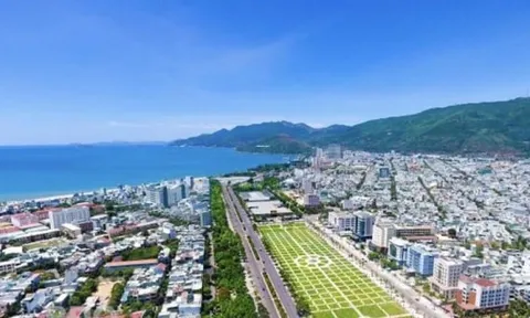 Bình Định sắp đấu giá hàng trăm lô đất, giá khởi điểm 650 triệu đồng