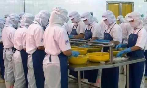 Cổ phiếu ICF tăng trần 10 phiên, công ty không biết lý do